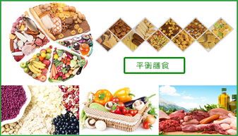 餐飲供應(yīng)鏈一體化服務(wù) 從農(nóng)場到餐桌，以佛山市好來客餐飲管理為例